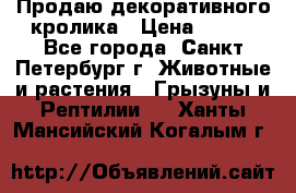 Продаю декоративного кролика › Цена ­ 500 - Все города, Санкт-Петербург г. Животные и растения » Грызуны и Рептилии   . Ханты-Мансийский,Когалым г.